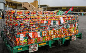 CABI Backs Kenya’s Apple Mango Breakthrough into UK Market