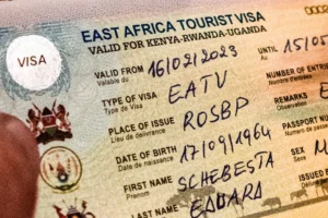 Unlocking East Africa: Your Complete Guide to Applying for the East African Tourist Visa Online