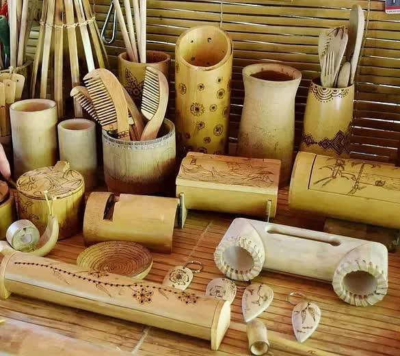 Unlocking the Potential: The Untapped Industry of Bamboo