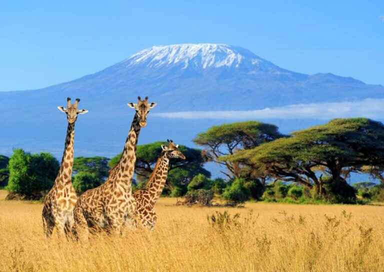 BEST TIME TO VISIT TANZANIA