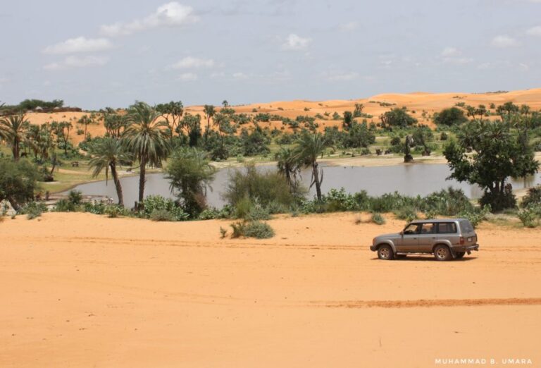 Desert swallows livelihoods as climate shocks continue in northeast Nigeria