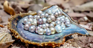 Why Finding Natural Pearls in the Ocean Is Extremely Difficult